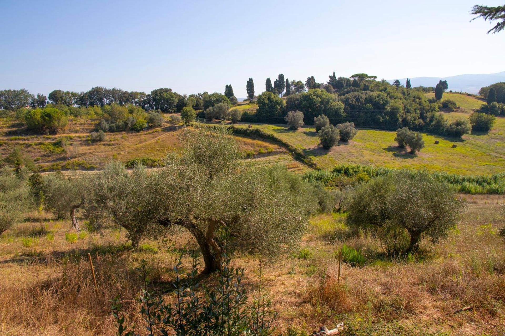 Agriturismo Terre Della Rinascita Castelnuovo della Misericordia Exterior foto